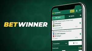 In-Depth Reviews About BetWinner What Users Are Saying