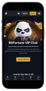 Bitfortune Coin Payments Address Verification