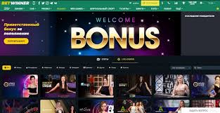 BetWinner Sportsbook Your Ultimate Betting Experience